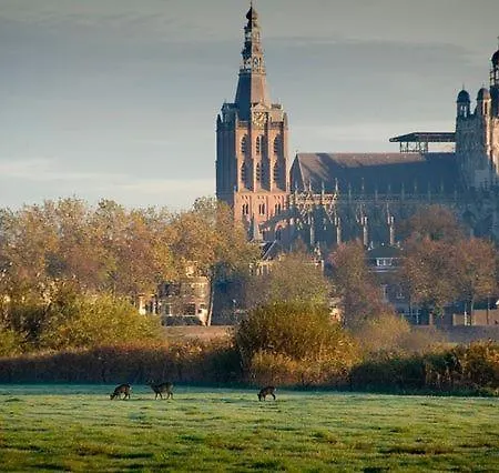De Merel Guest house Vught