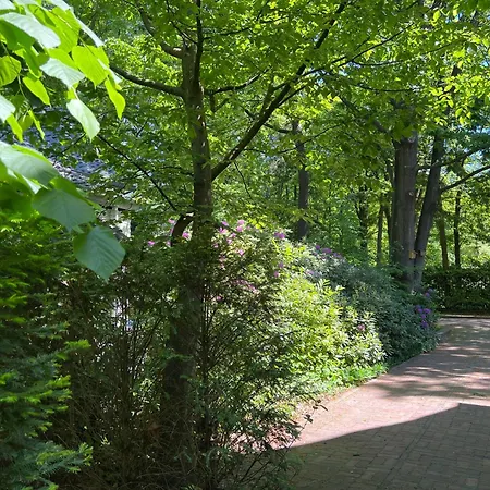 De Merel * Vught