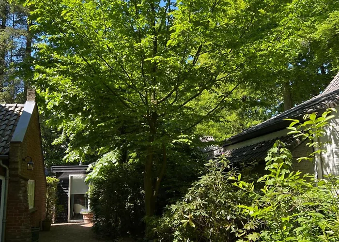 Πανσιόν De Merel Vught